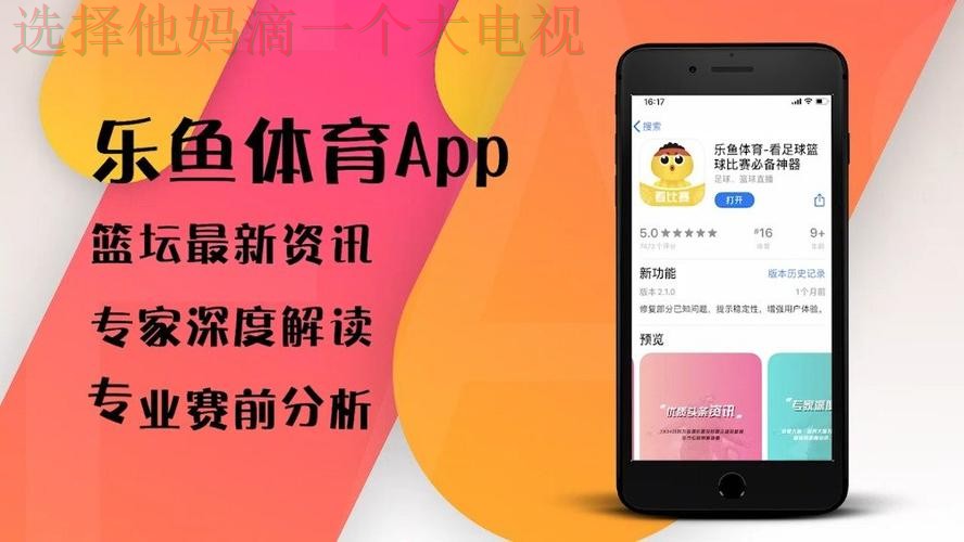 乐鱼体育平台体验指南：在哪畅玩